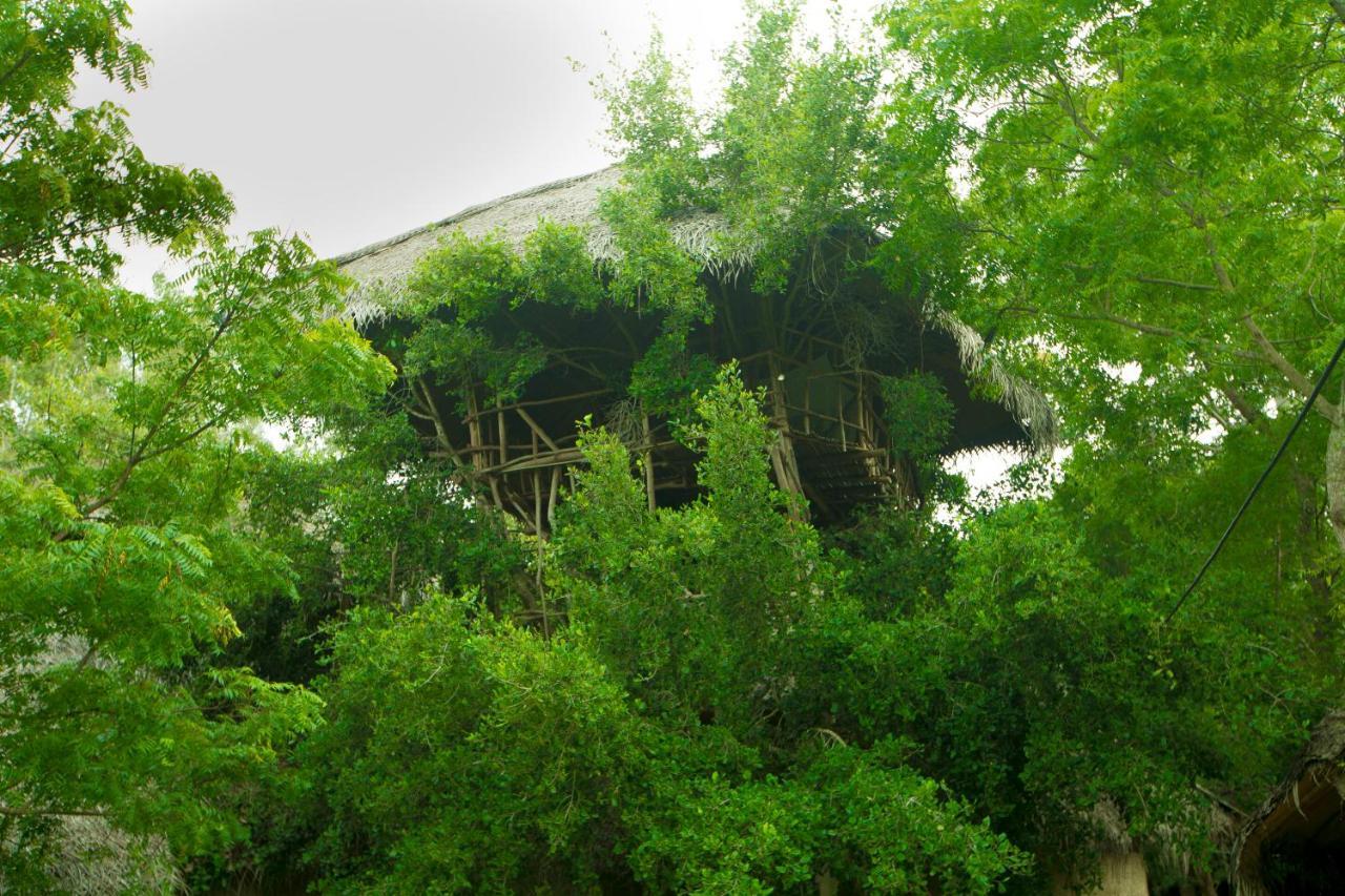 The Saraii Tree Lodge Tissamaharama Exterior photo