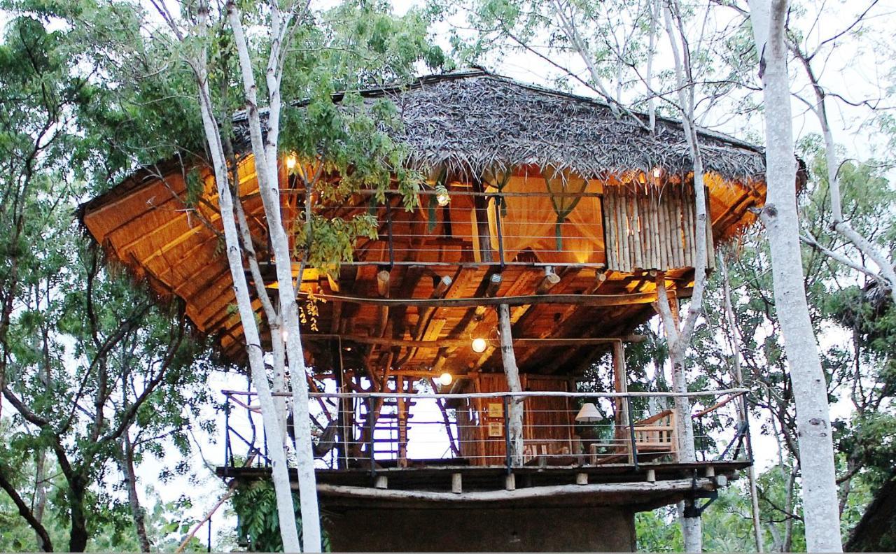 The Saraii Tree Lodge Tissamaharama Exterior photo
